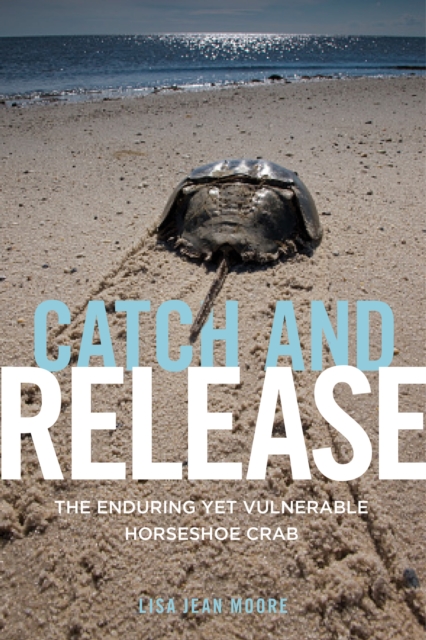 Catch and Release : The Enduring Yet Vulnerable Horseshoe Crab, Paperback / softback Book