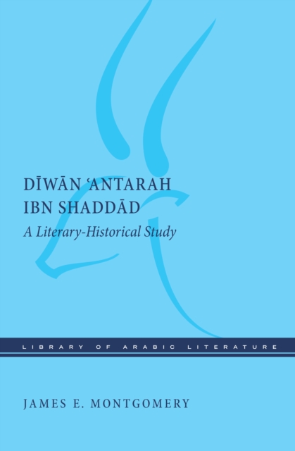 Diwan 'Antarah ibn Shaddad : A Literary-Historical Study, Hardback Book