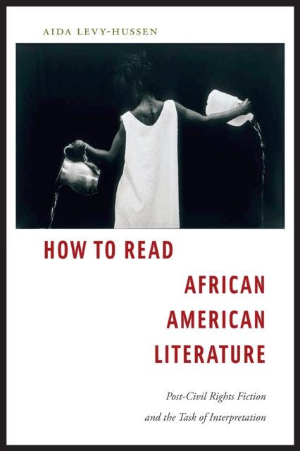 How to Read African American Literature : Post-Civil Rights Fiction and the Task of Interpretation, Paperback / softback Book