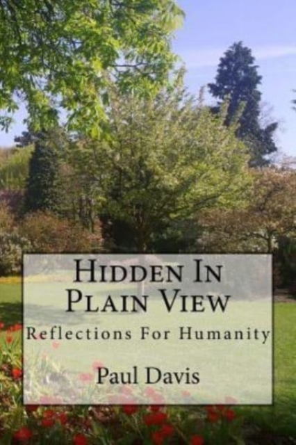 Hidden in Plain View : Reflections for Humanity Volume 1, Paperback / softback Book