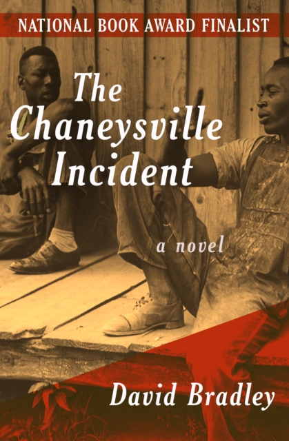 The Chaneysville Incident : A Novel, EPUB eBook