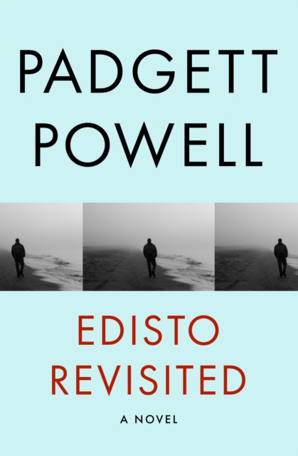 Edisto Revisited : A Novel, PDF eBook
