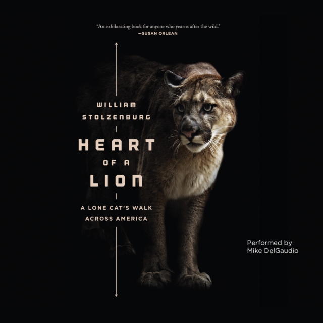 Heart of a Lion : A Lone Cat's Walk Across America, eAudiobook MP3 eaudioBook