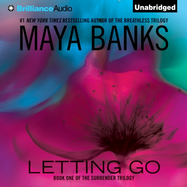 Letting Go, eAudiobook MP3 eaudioBook
