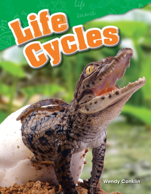 Life Cycles, PDF eBook