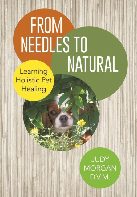 From Needles to Natural : Learning Holistic Pet Healing, Hardback Book