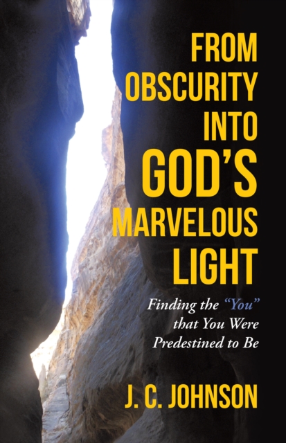 From Obscurity into God'S Marvelous Light : Finding the "You" That You Were Predestined to Be, EPUB eBook