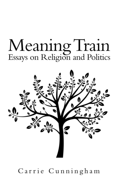 Meaning Train : Essays on Religion and Politics, Paperback / softback Book