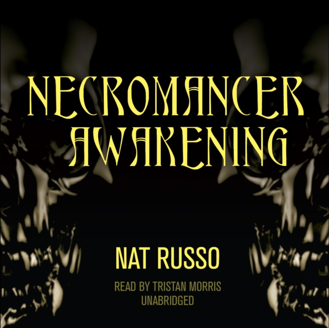 Necromancer Awakening, eAudiobook MP3 eaudioBook