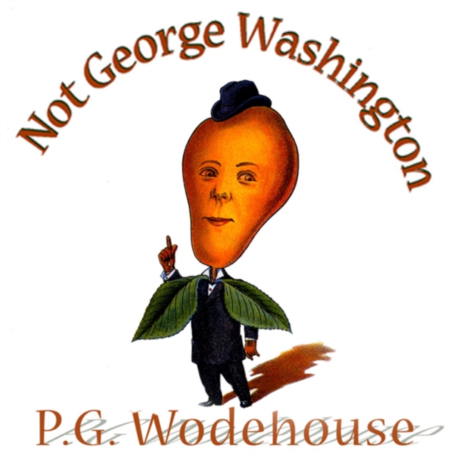 Not George Washington, eAudiobook MP3 eaudioBook