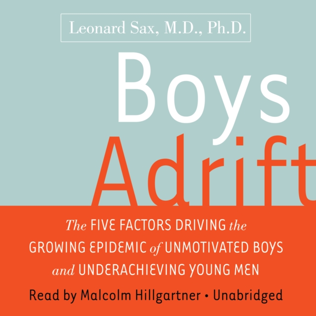 Boys Adrift, eAudiobook MP3 eaudioBook