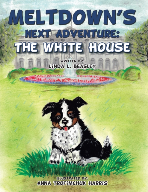Meltdown's Next Adventure: the White House, EPUB eBook