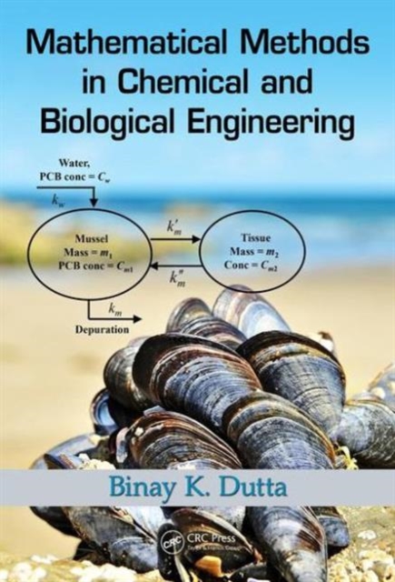 Mathematical Methods in Chemical and Biological Engineering, Hardback Book