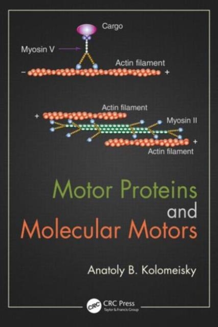 Motor Proteins and Molecular Motors, Hardback Book
