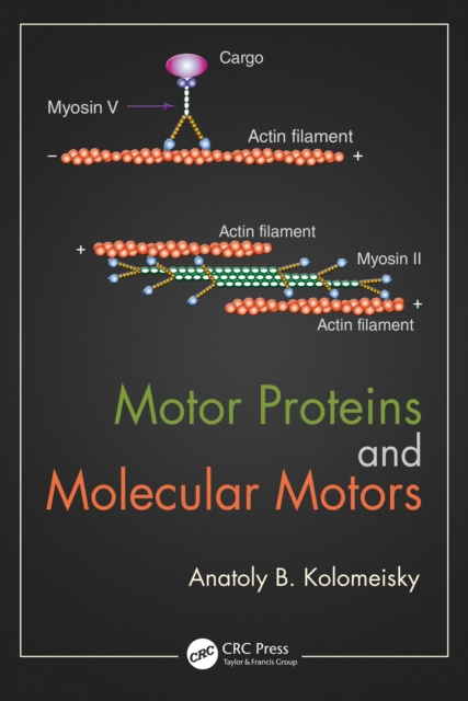 Motor Proteins and Molecular Motors, PDF eBook