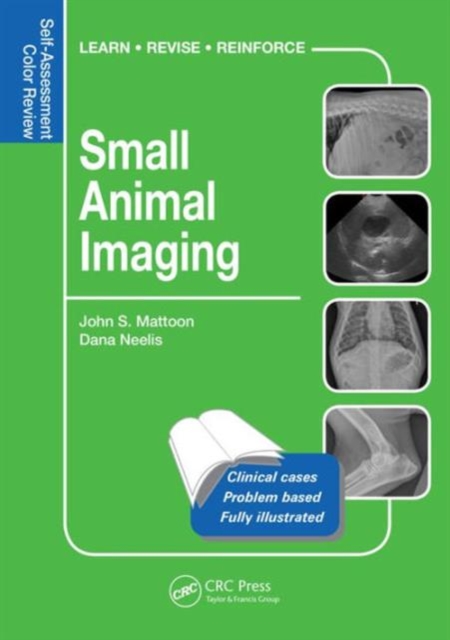 Small Animal Imaging : Self-Assessment Review, Paperback / softback Book