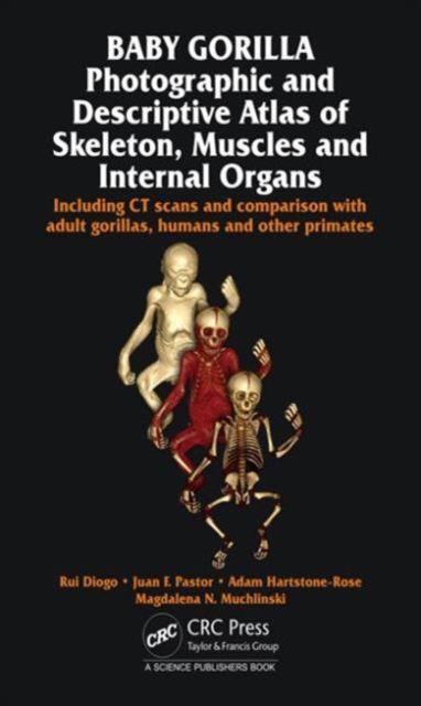 Baby Gorilla : Photographic and Descriptive Atlas of Skeleton, Muscles and Internal Organs, Hardback Book