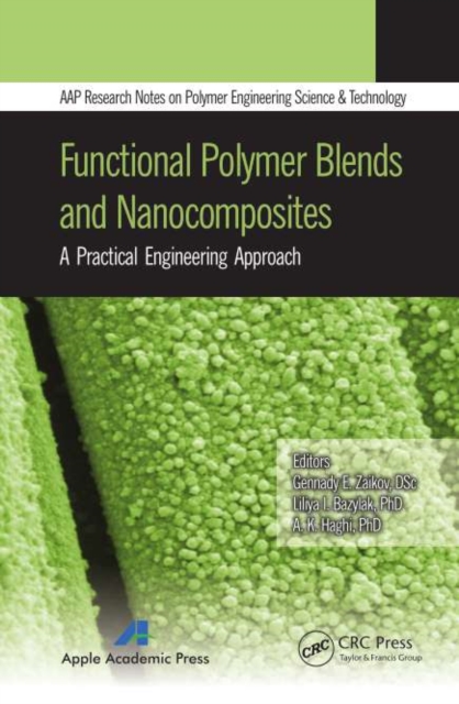 Functional Polymer Blends and Nanocomposites : A Practical Engineering Approach, PDF eBook