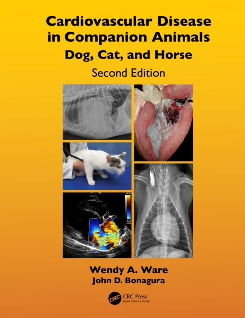 Cardiovascular Disease in Companion Animals : Dog, Cat and Horse, PDF eBook