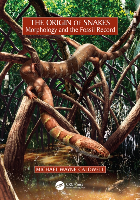 The Origin of Snakes : Morphology and the Fossil Record, PDF eBook