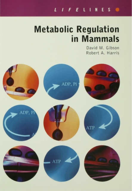 Metabolic Regulation in Mammals, PDF eBook