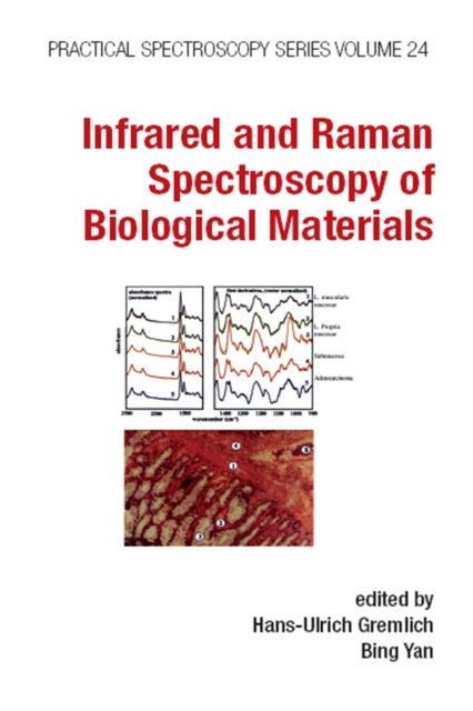 Infrared and Raman Spectroscopy of Biological Materials, PDF eBook