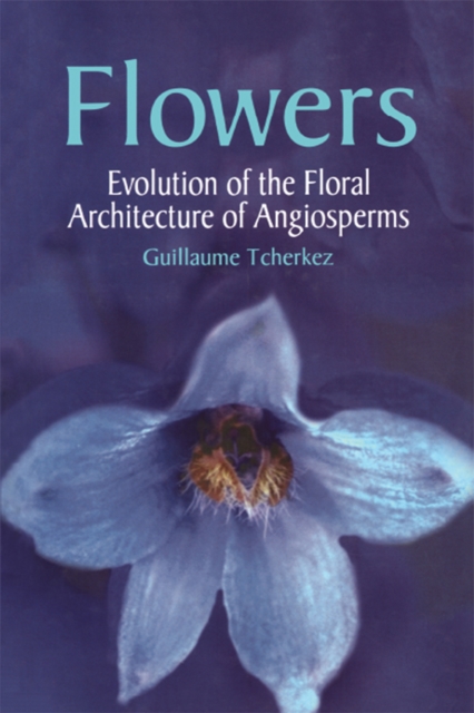 Flowers : Evolution of the Floral Architecture of Angiosperms, PDF eBook