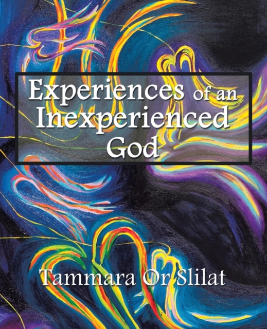 Experiences of an Inexperienced God : Excerpts from God's Diary, Paperback / softback Book