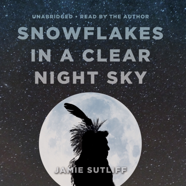 Snowflakes in a Clear Night Sky, eAudiobook MP3 eaudioBook