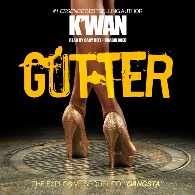 Gutter, eAudiobook MP3 eaudioBook