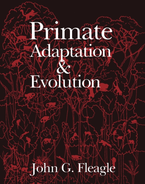 Primate Adaptation and Evolution, PDF eBook