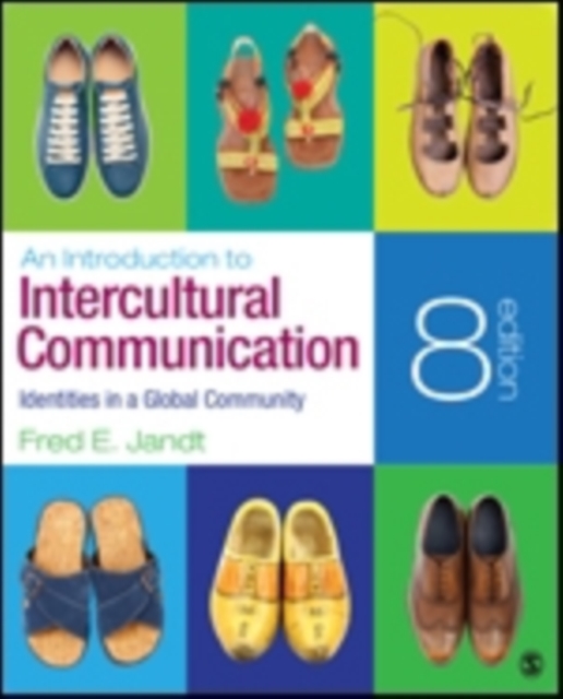 An Introduction to Intercultural Communication : Identities in a Global Community, Paperback / softback Book
