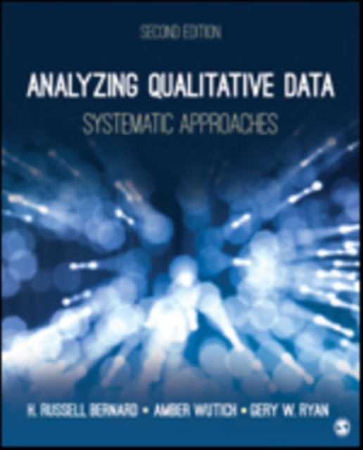 Analyzing Qualitative Data : Systematic Approaches, Paperback / softback Book