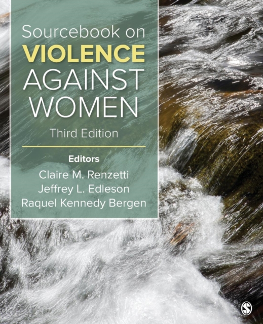 Sourcebook on Violence Against Women, Paperback / softback Book