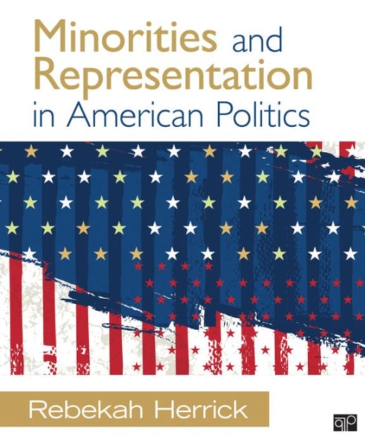 Minorities and Representation in American Politics, Paperback / softback Book