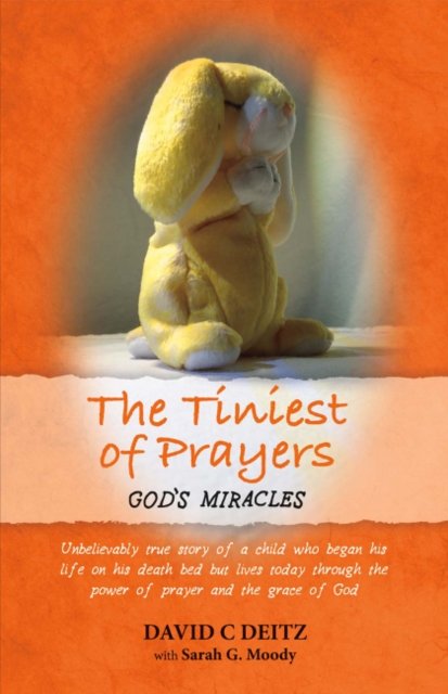 The Tiniest of Prayers : God's Miracles, Paperback / softback Book