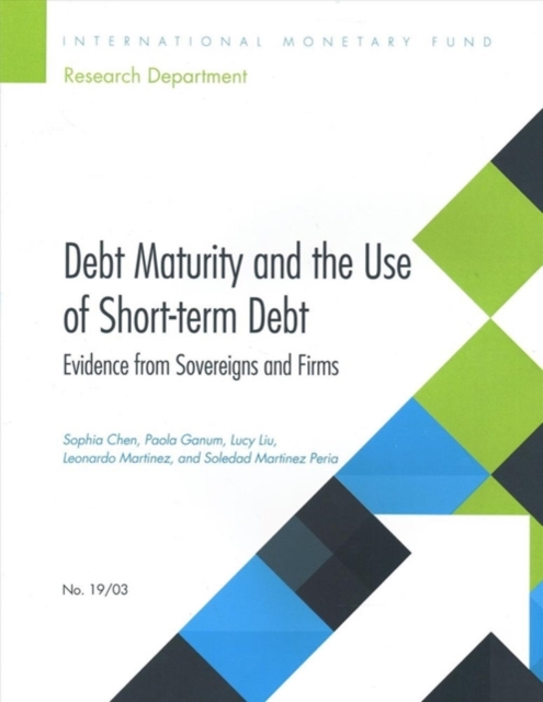 Debt maturity and the use of short-term debt : evidence from sovereigns and firms, Paperback / softback Book