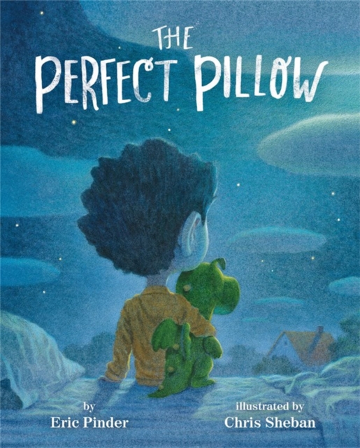 The Perfect Pillow, Hardback Book