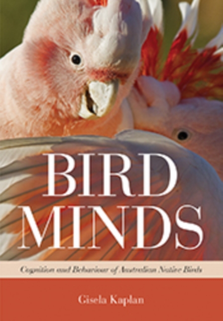 Bird Minds : Cognition and Behaviour of Australian Native Birds, EPUB eBook