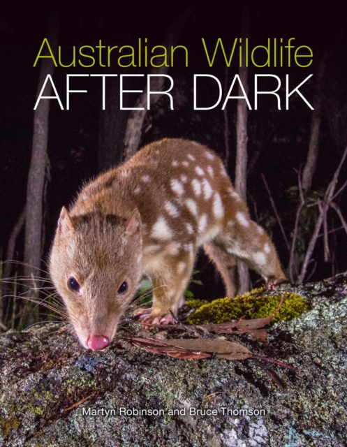 Australian Wildlife After Dark, Paperback / softback Book
