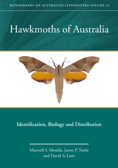 Hawkmoths of Australia : Identification, Biology and Distribution, Hardback Book