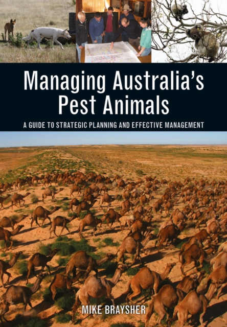 Managing Australia's Pest Animals : A Guide to Strategic Planning and Effective Management, PDF eBook