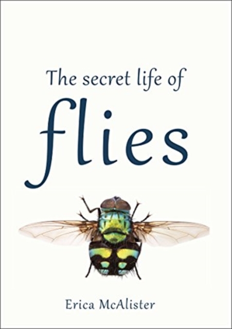 The Secret Life of Flies, Hardback Book