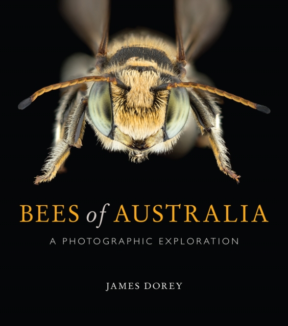 Bees of Australia : A Photographic Exploration, EPUB eBook