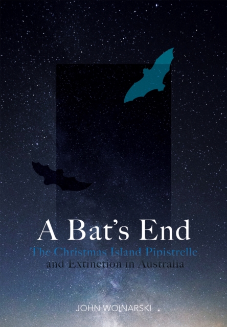 A Bat's End : The Christmas Island Pipistrelle and Extinction in Australia, Paperback / softback Book