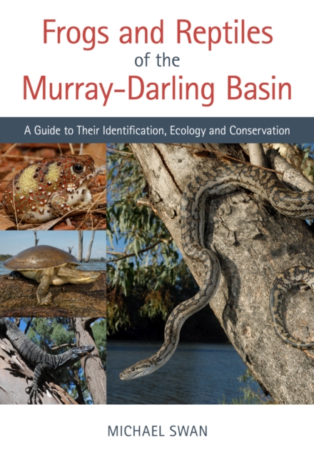 Frogs and Reptiles of the Murray–Darling Basin : A Guide to Their Identification, Ecology and Conservation, Paperback / softback Book