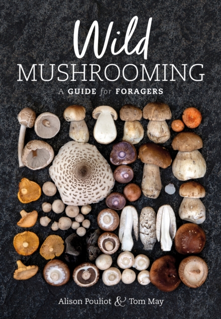 Wild Mushrooming : A Guide for Foragers, Paperback / softback Book