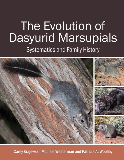 The Evolution of Dasyurid Marsupials : Systematics and Family History, EPUB eBook