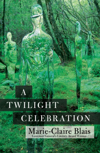 A Twilight Celebration, Paperback / softback Book