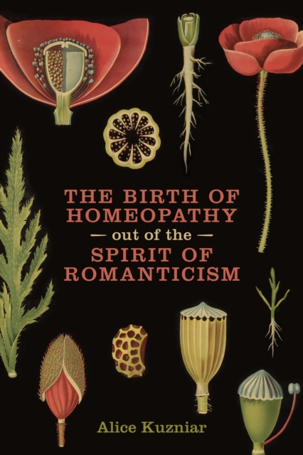 The Birth of Homeopathy out of the Spirit of Romanticism, Paperback / softback Book